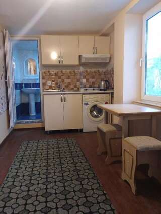Апартаменты Rental house in village Bine Баку Апартаменты с 1 спальней-14