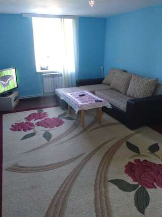Апартаменты Rental house in village Bine Баку Апартаменты с 1 спальней-8
